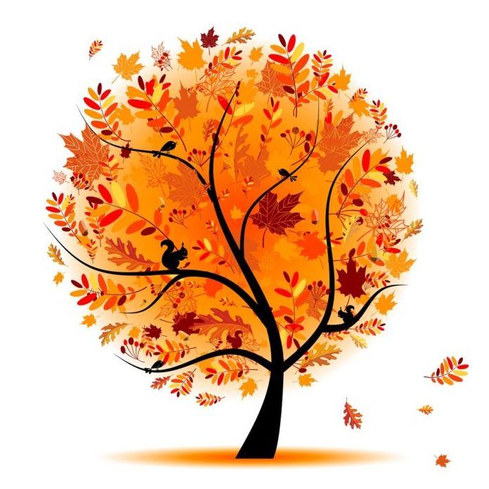 Cycles de vie : l'Automne